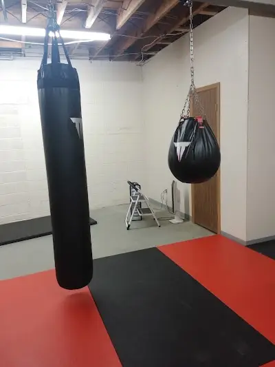 The Forge Martial Arts Academy BJJ Academy - photo 2