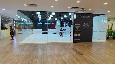 The Gentle Art Academy (Novena)