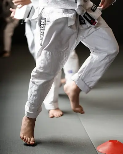 The Grappling Lab BJJ Academy - photo 4