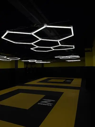 The Hive MMA & Wrestling BJJ Academy - photo 1