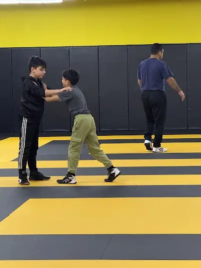 The Hive MMA & Wrestling BJJ Academy - photo 4