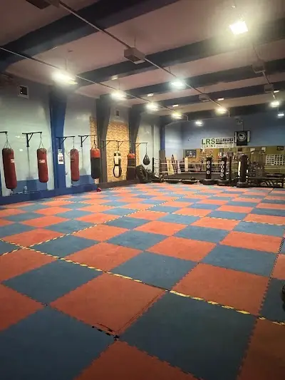 The Jawaid Khaliq Boxing Academy BJJ Academy - photo 1