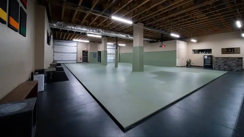 The Jiu Jitsu Institute