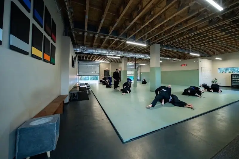 The Jiu Jitsu Institute BJJ Academy - photo 2