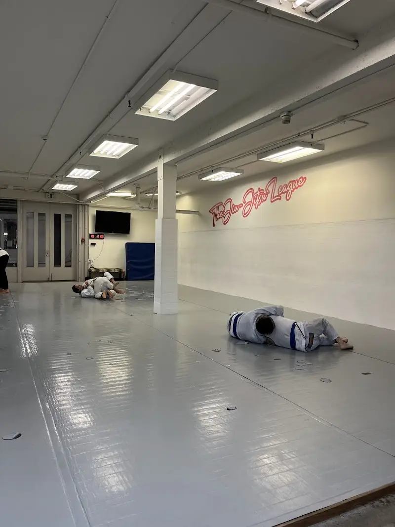 The Jiu-Jitsu League BJJ Academy - photo 1