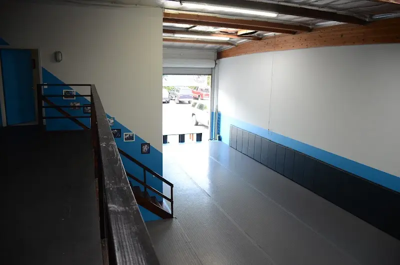 The Jiu-Jitsu League BJJ Academy - photo 2