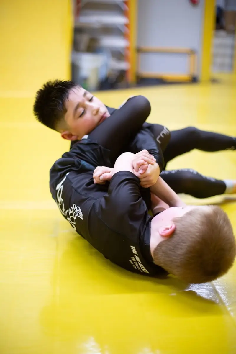 The Jiu Jitsu Mill