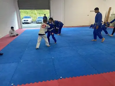The Jiu Jitsu Mill/The Mill BJJ Academy - photo 1