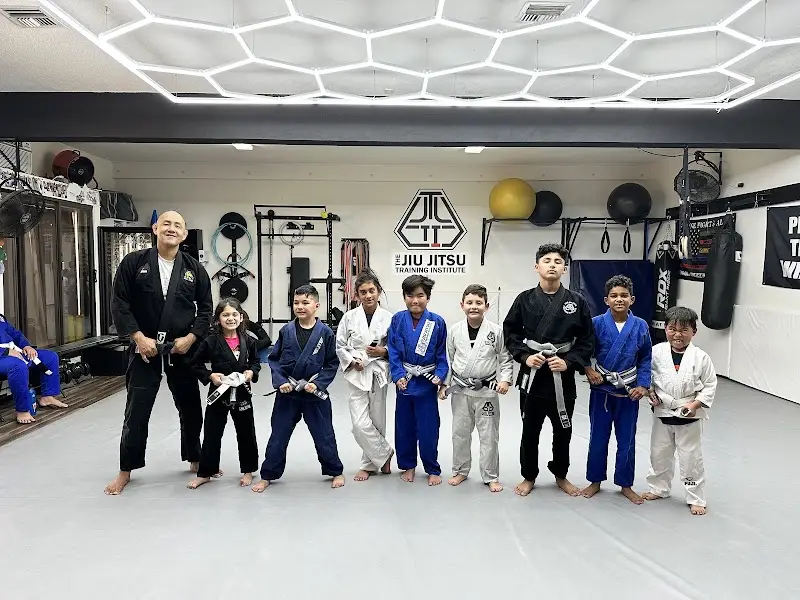 The Jiu Jitsu Training Institute BJJ Academy - photo 1