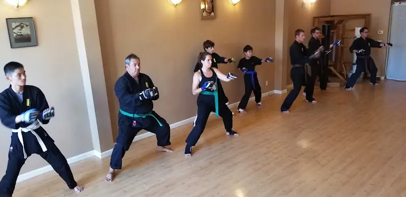 The Martial Arts Academy of Marin BJJ Academy - photo 2