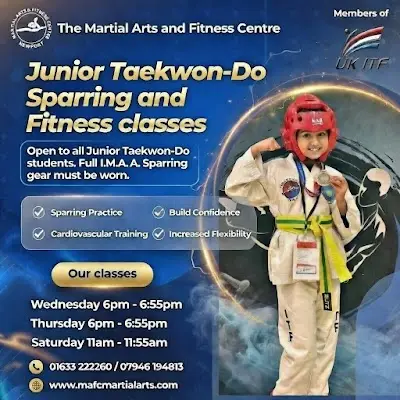 The Martial Arts and Fitness Centre BJJ Academy - photo 1