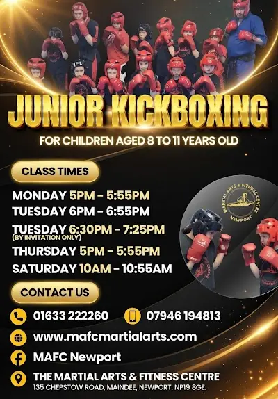 The Martial Arts and Fitness Centre BJJ Academy - photo 2