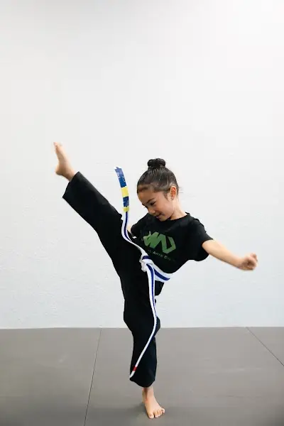 The Martial Arts Center BJJ Academy - photo 2