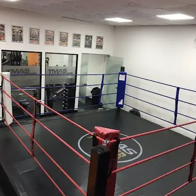 The Martial Arts Studio (TMAS) BJJ Academy - photo 1