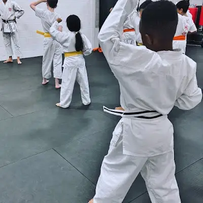 The Mississauga Academy of Martial Arts