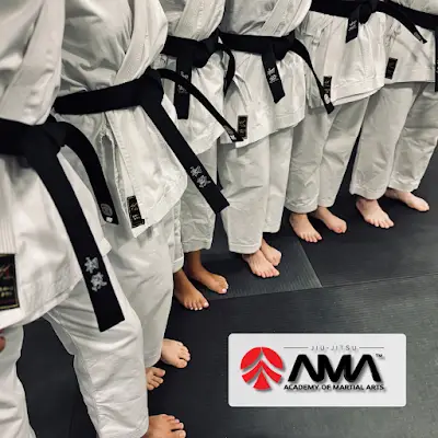 The Mississauga Academy of Martial Arts BJJ Academy - photo 4
