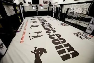 The MMA Clinic BJJ Academy - photo 2