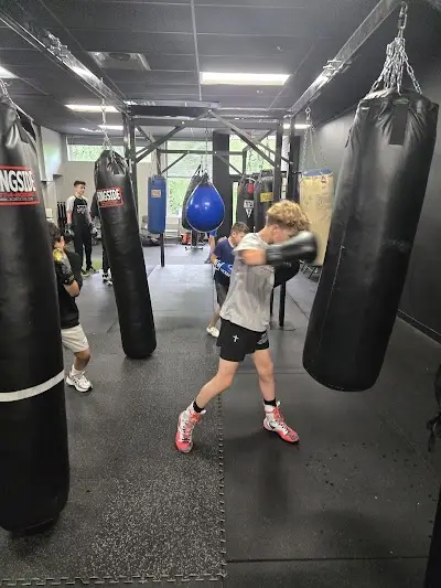 The Mount BJJ & MMA - Ijamsville/Urbana BJJ Academy - photo 3