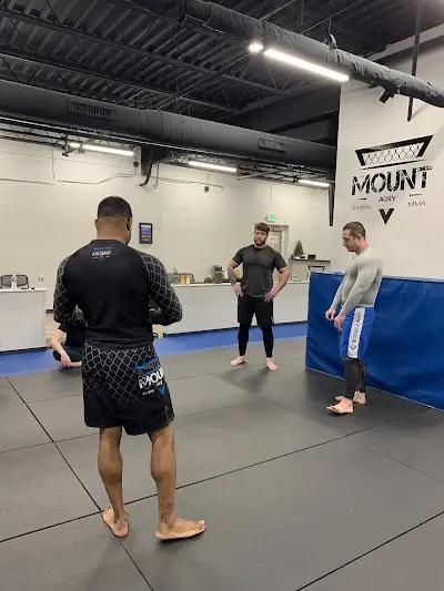 The Mount BJJ & MMA - Mount Airy BJJ Academy - photo 2