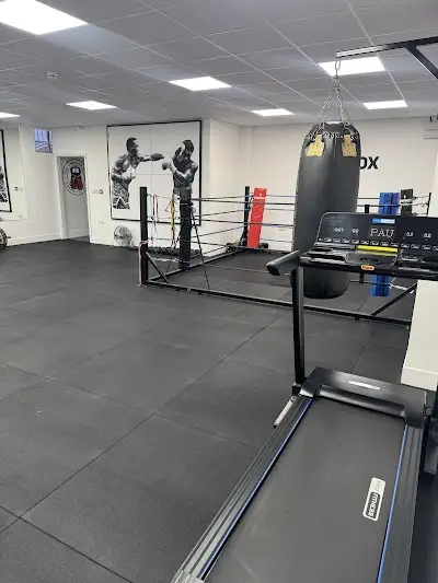 The OmniBox Gym
