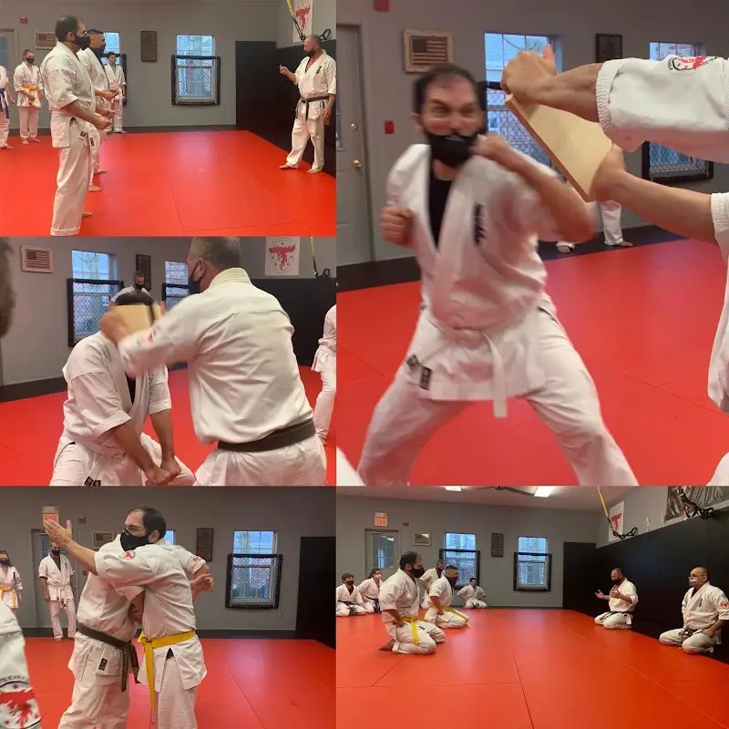 The Phoenix Way BJJ Academy - photo 1