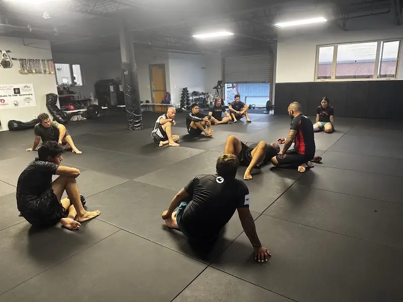 The Process Martial Art Academy BJJ Academy - photo 1