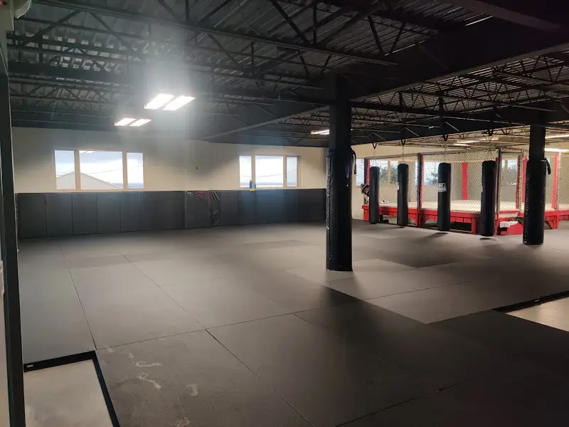 The Process Martial Art Academy BJJ Academy - photo 2