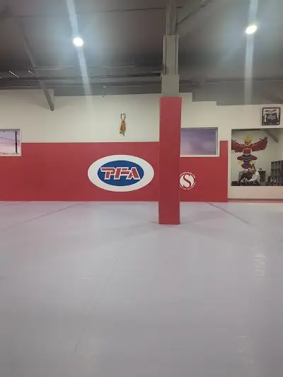 The Progressive Fighting Academy BJJ Academy - photo 1