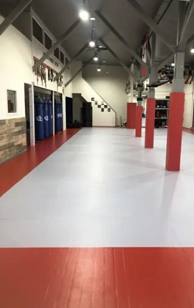 The Progressive Fighting Academy BJJ Academy - photo 3