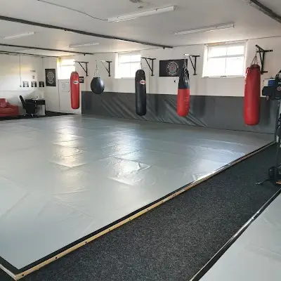 The Strike Centre BJJ Academy - photo 2