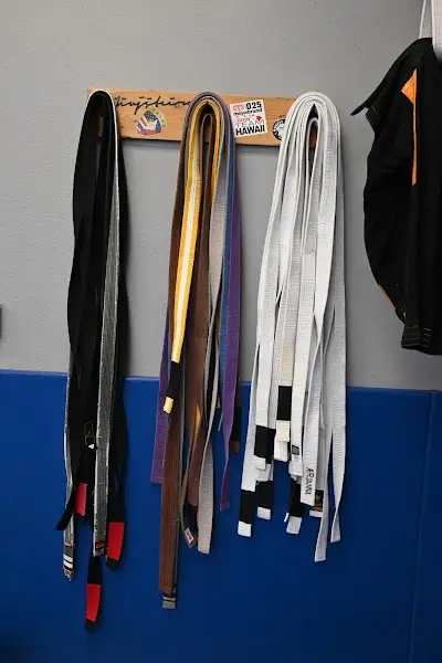 The Stronghold Brazilian Jiu Jitsu Eastlake BJJ Academy - photo 3