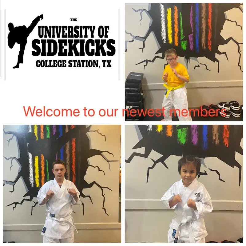 The University of Sidekicks BJJ Academy - photo 2