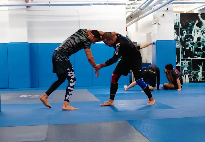 The Viking Academy | Brazilian Jiu-Jitsu Muay Thai MMA BJJ Academy - photo 1