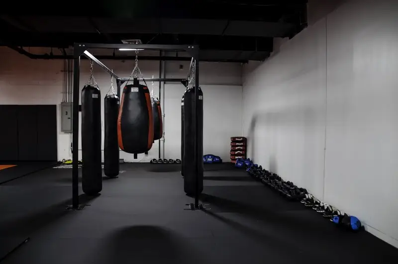 The Viking Academy | Brazilian Jiu-Jitsu Muay Thai MMA BJJ Academy - photo 2