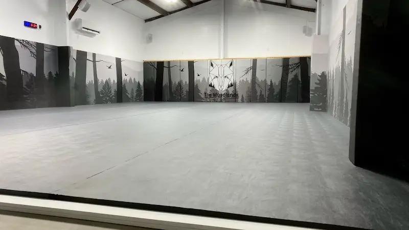 The Woodlands Jiu Jitsu