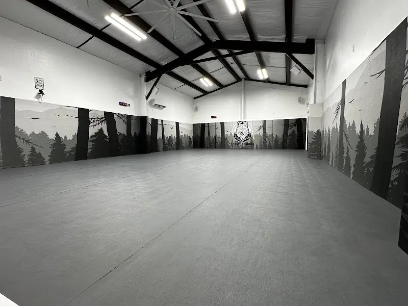 The Woodlands Jiu Jitsu BJJ Academy - photo 1