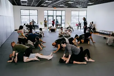 Theory Jiu-Jitsu Studio BJJ Academy - photo 1