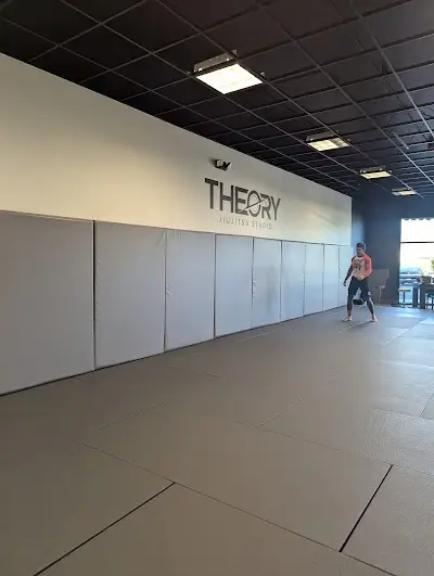 Theory Jiu-Jitsu Studio BJJ Academy - photo 4
