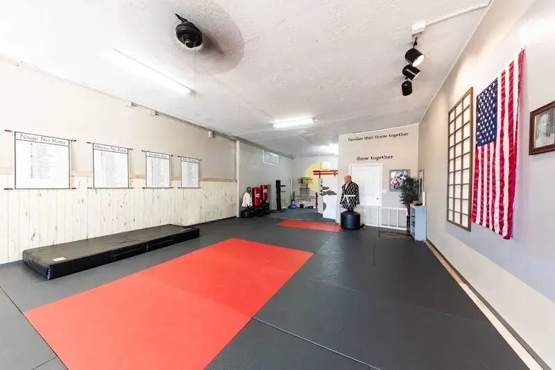 Theta Combat Martial Arts BJJ Academy - photo 1