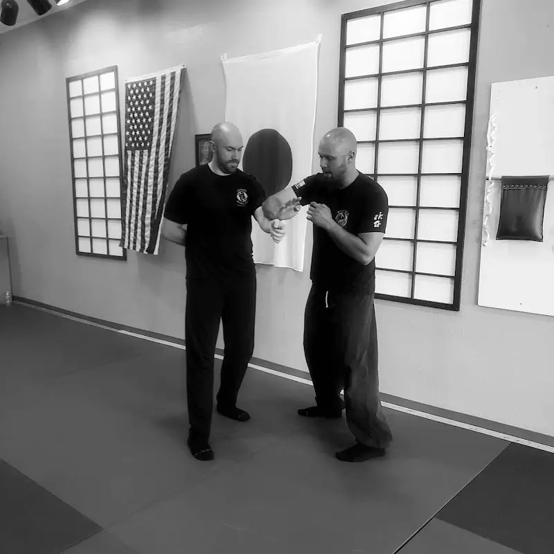 Theta Combat Martial Arts BJJ Academy - photo 2