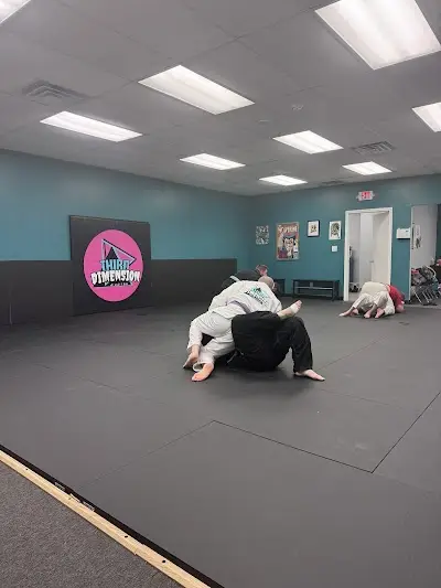 Third Dimension Jiu Jitsu BJJ Academy - photo 1