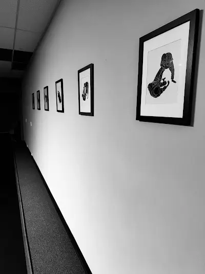 Third Dimension Jiu Jitsu BJJ Academy - photo 3