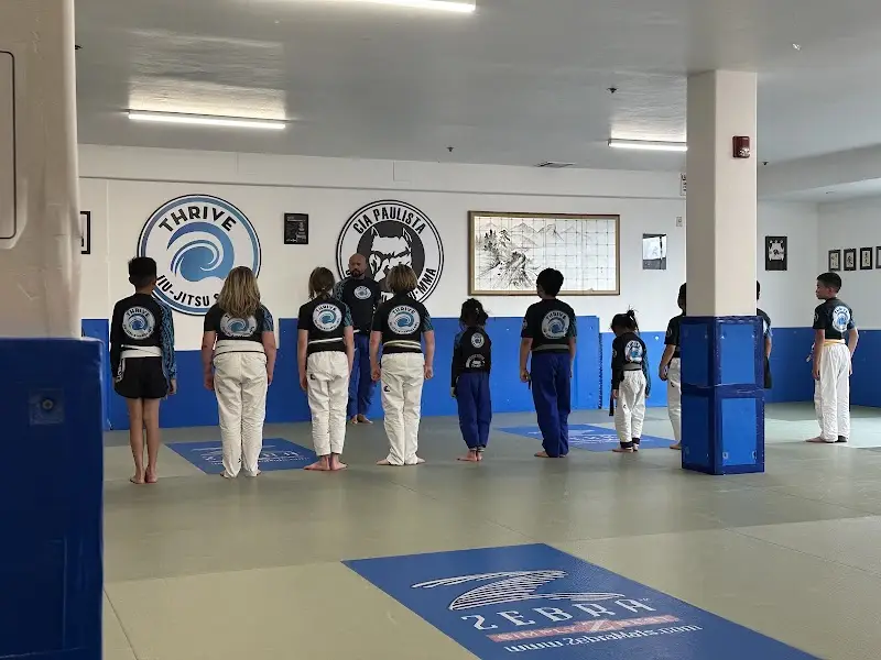 Thrive Jiu Jitsu BJJ Academy - photo 2