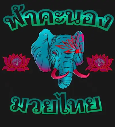 Thunder Muay Thai BJJ Academy - photo 4