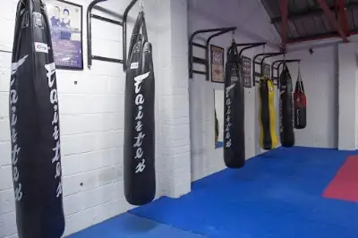 Thurles Martial Arts Academy: K-1 Kickboxing - Muay Thai - Brazilian Jiu Jitsu BJJ Academy - photo 2