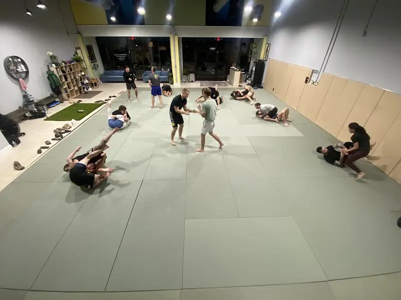 Tidewater BJJ Academy Virginia Beach BJJ Academy - photo 1