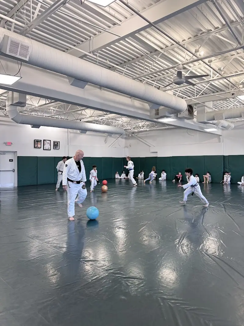 Tiger Academy of Martial Arts BJJ Academy - photo 2