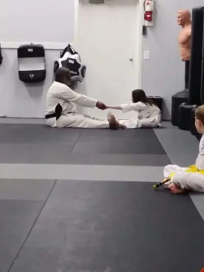 Tiger Martial Arts Fitness Academy BJJ Academy - photo 1