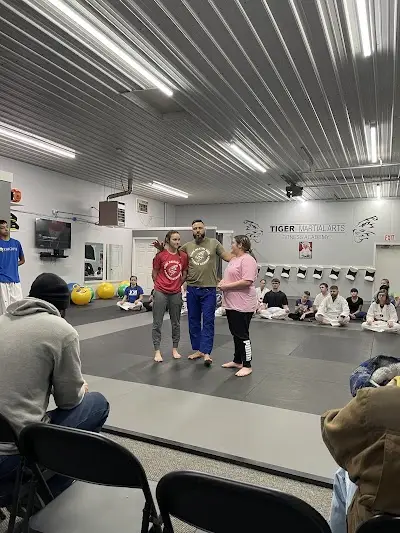 Tiger Martial Arts Fitness Academy BJJ Academy - photo 2