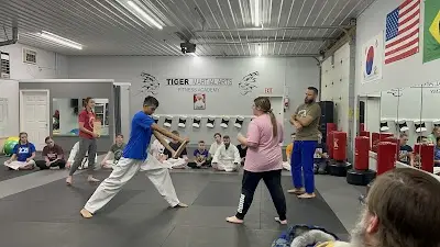 Tiger Martial Arts Fitness Academy BJJ Academy - photo 3